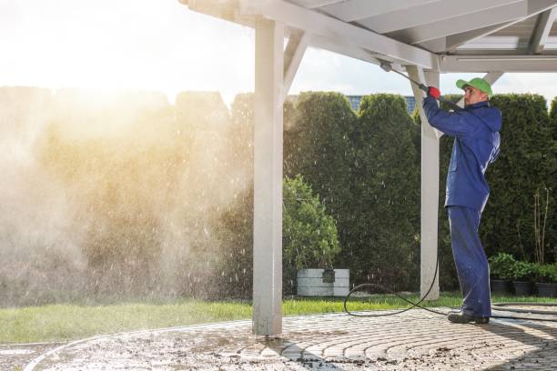 Best Building Exterior Washing  in Bellevue, MI